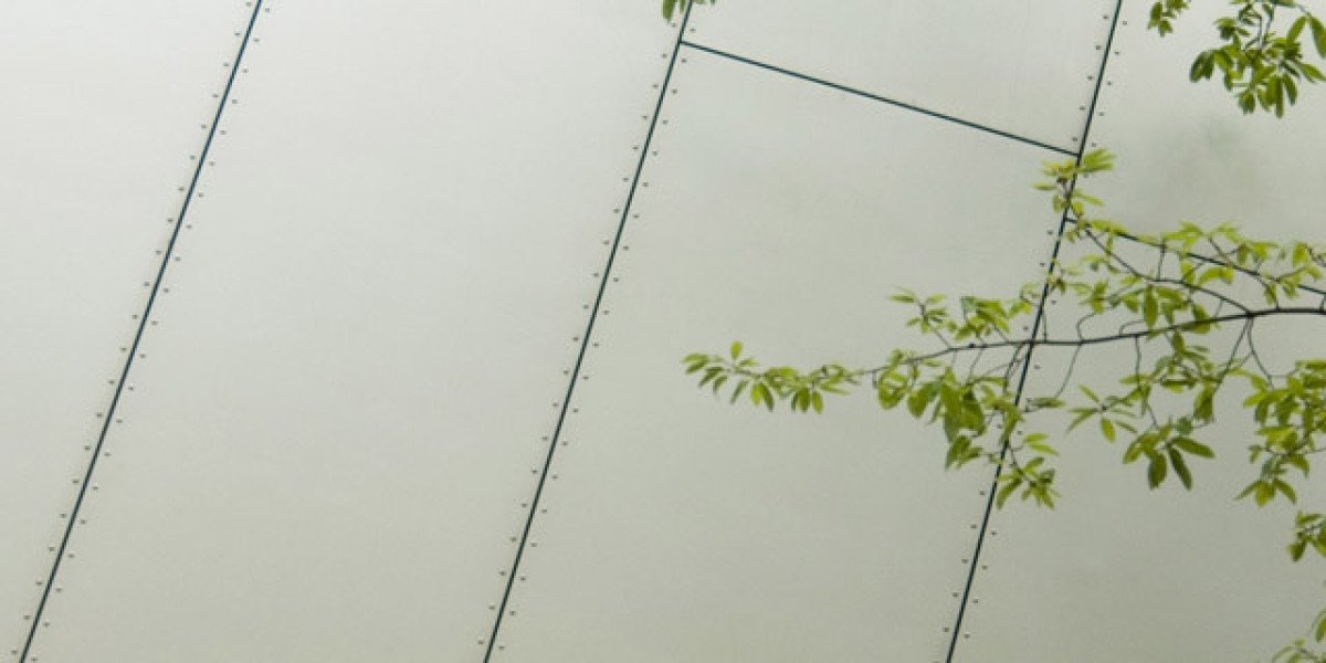 Zoome No Deposit Bonus Codes & Review