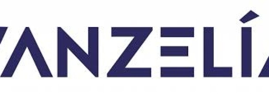 Vanzelia llc Cover Image