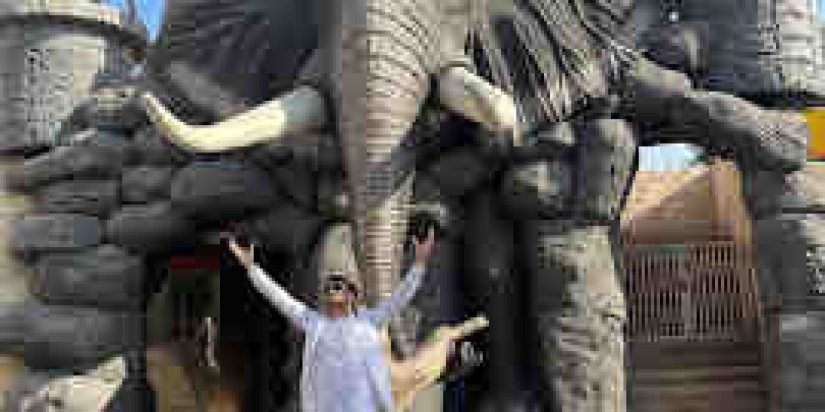 What Is the Emirates Zoo Ticket Price and What Does It Include