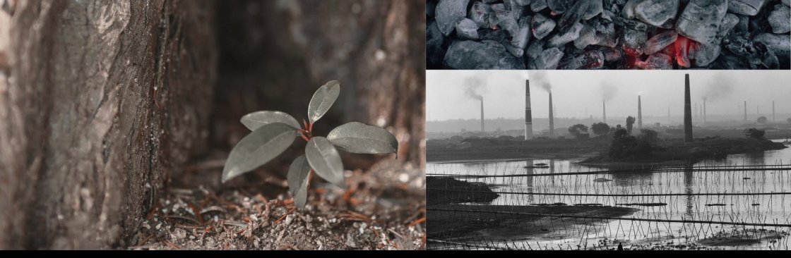 Carbon Capital Cover Image