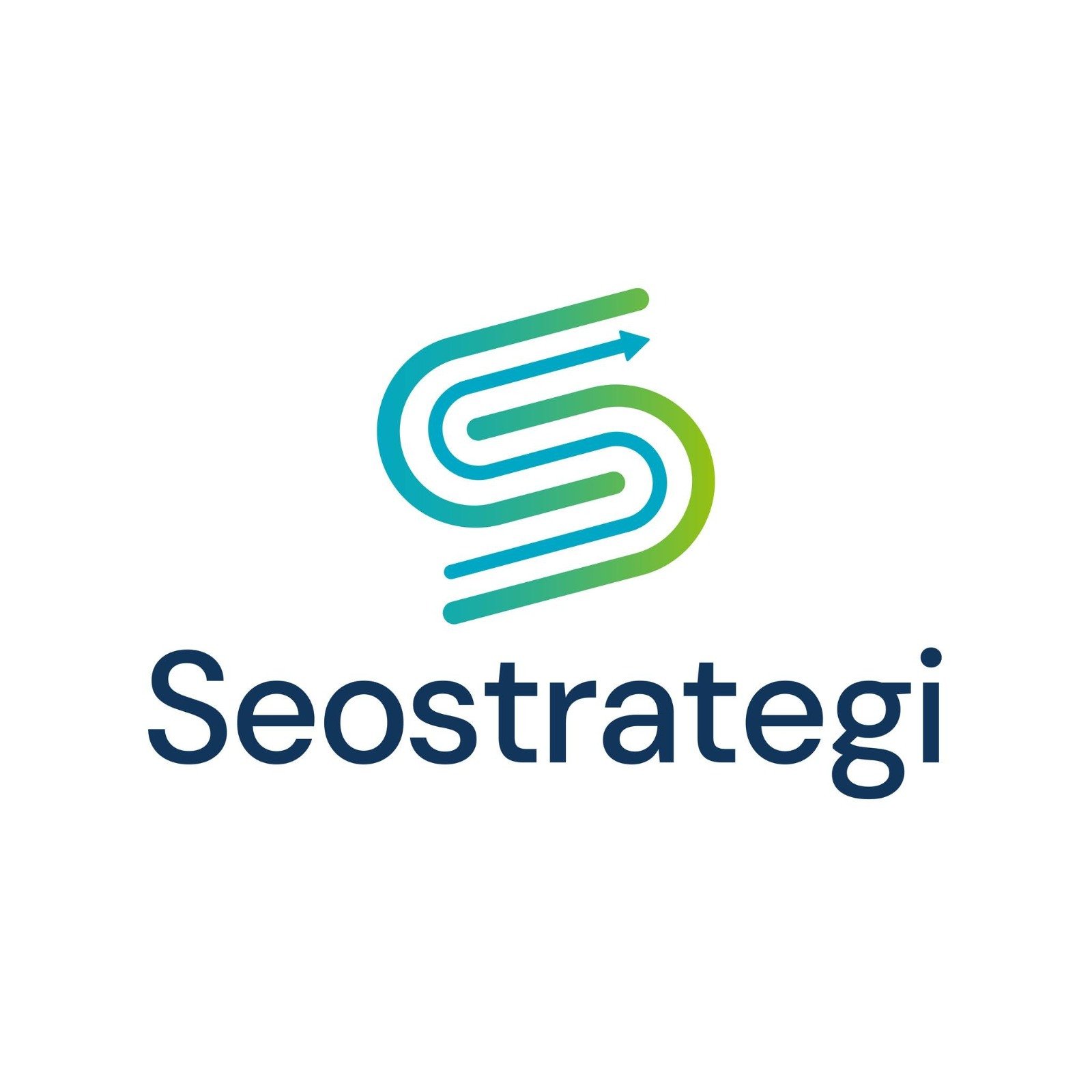Seo Strategi Profile Picture