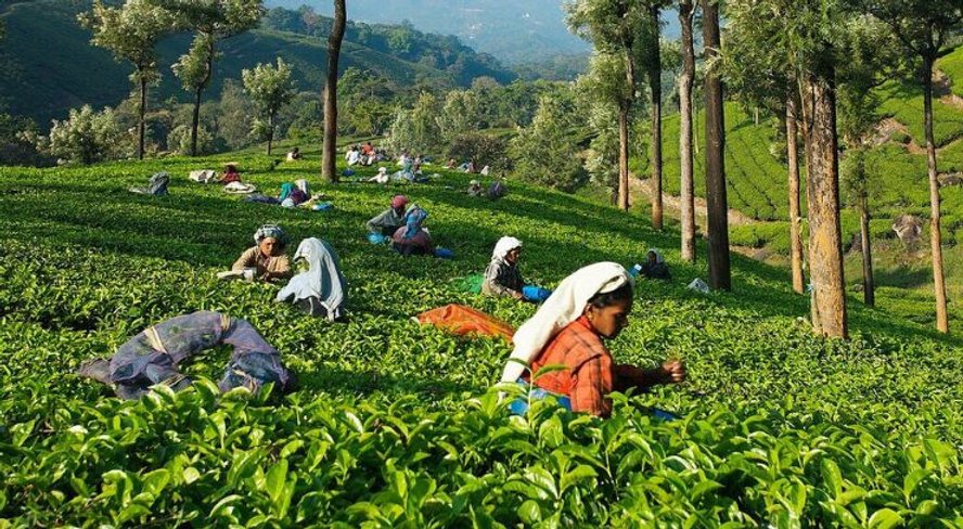 Rajasthan and Kerala Tour Packages for British Travelers | S5 Hospitality