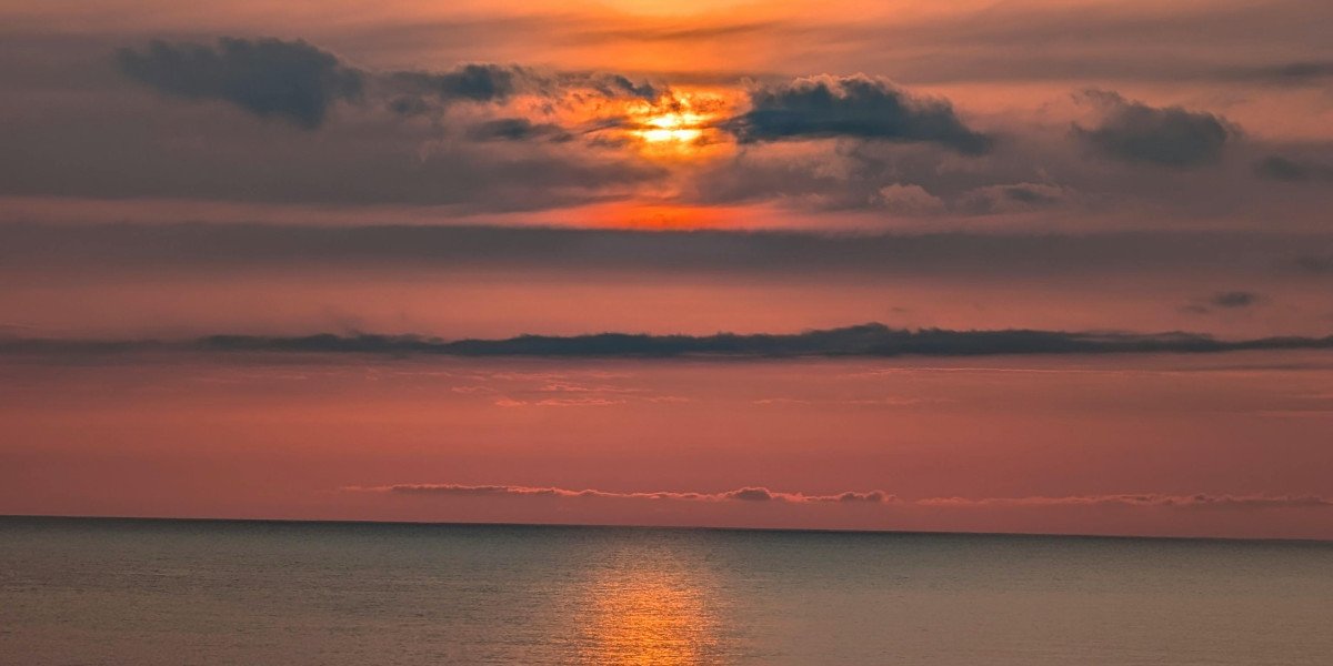 EZNPC Guide Craft and trait farm limited Brainrots fast