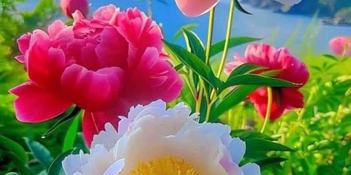 The 3 minimum amount puzzling groups within just baseball