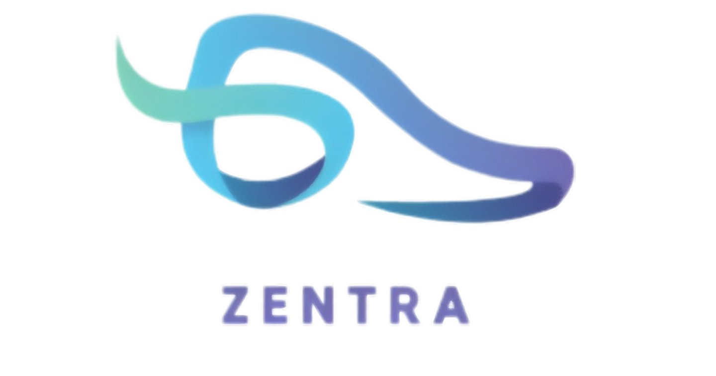 Zentra Orthopedic Shoes for Comfort and Support | Zentra Orthopedic Shoes