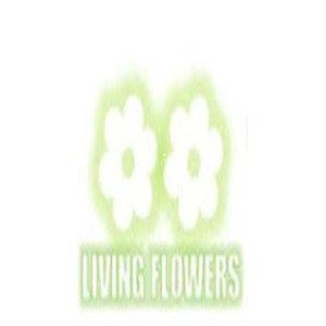 living flowers Profile Picture