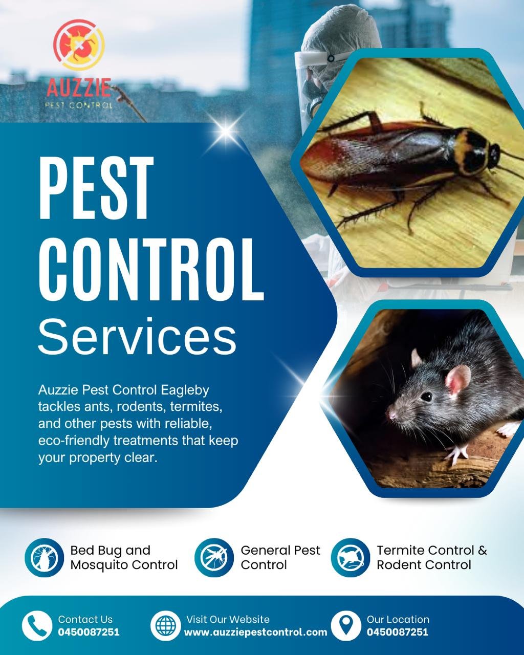Reliable Pest Control Services Eagleby - Auzzie Pest Control