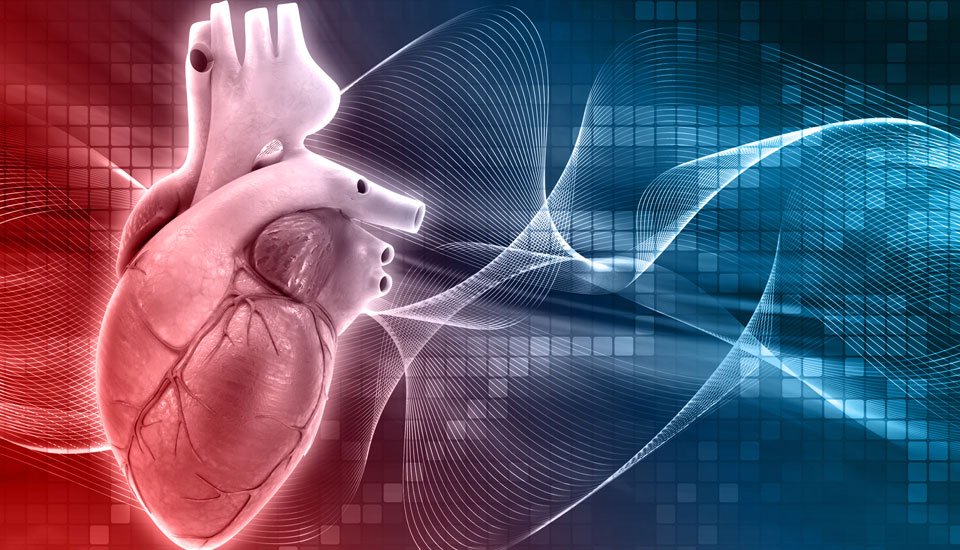Best Cardiology Department In Bhilai