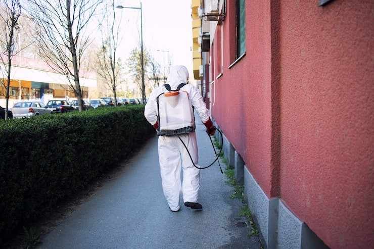 Best Season for Rodent Control in Businesses