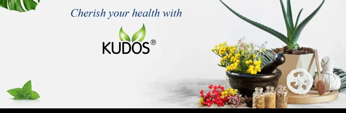 Kudos Ayurveda Cover Image