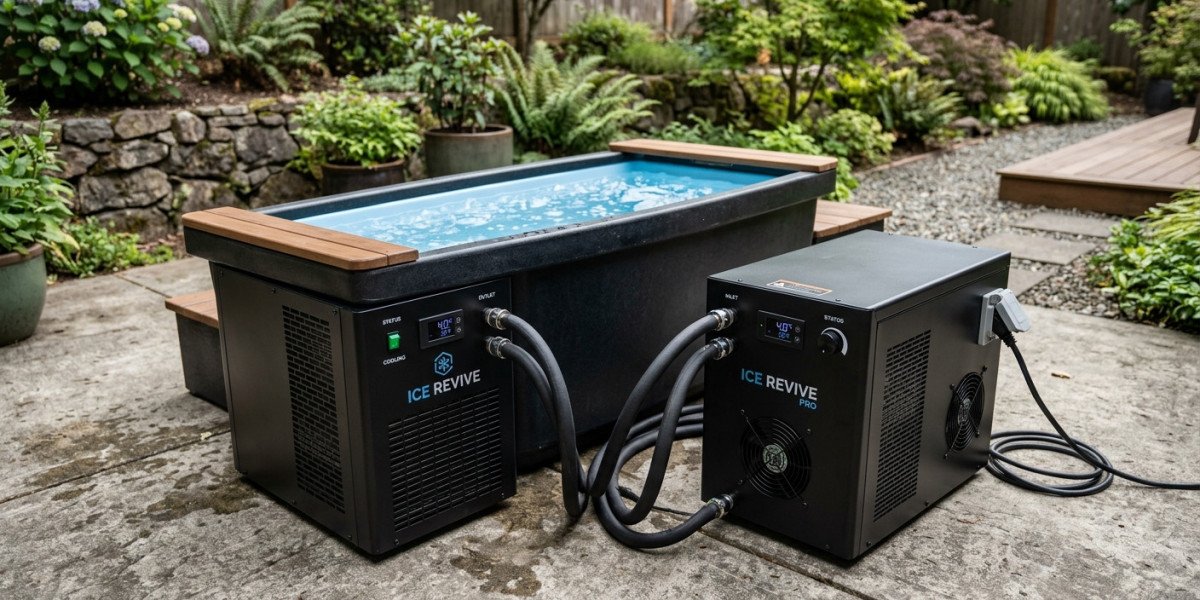 Cold Therapy in Dubai: Elevate Your Recovery and Wellness with Modern Cold Plunge Systems
