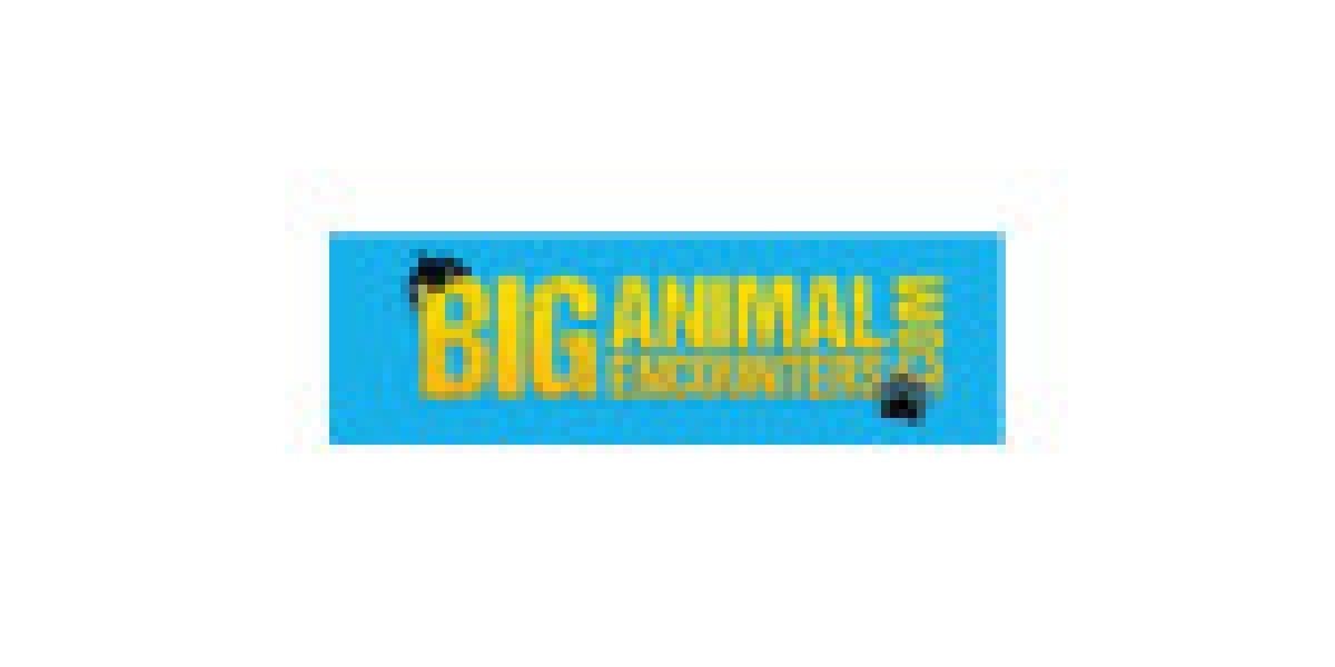 Big Animal Encounters