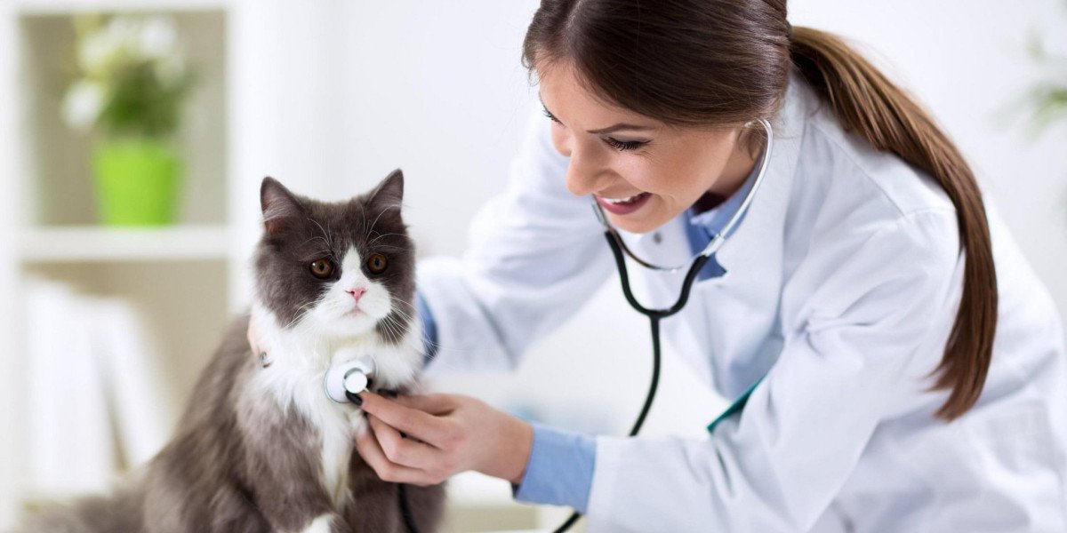 How to Choose the Best Dog and Cat Hospital in Summit, New Jersey