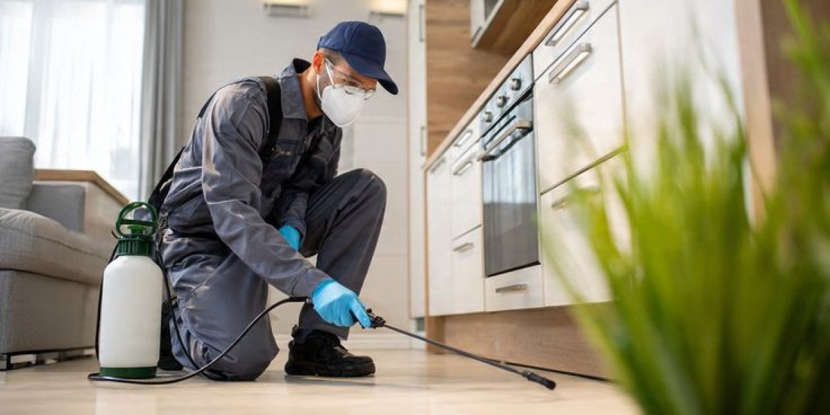 Expert Solutions for a Tick-Free Home and Outdoor Space