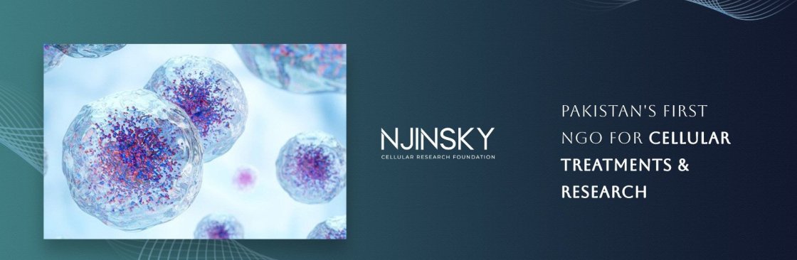 Njinsky Foundation Cover Image