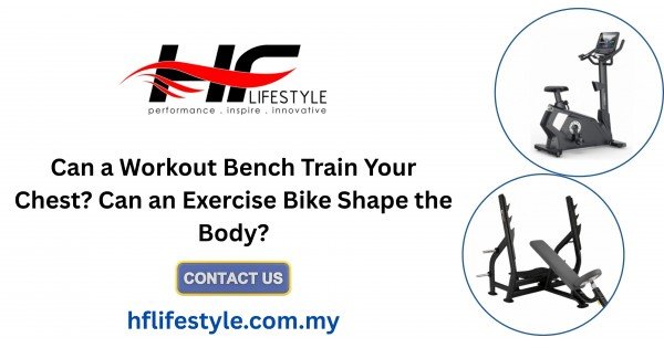 Can a Workout Bench Train Your Chest? Can an Exercise Bike Shape the Body?