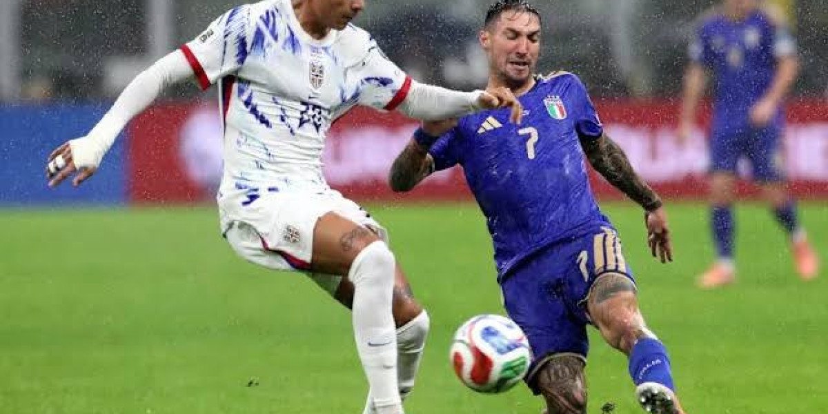 Norway National Team Receives Praise for Professional Approach During World Cup Campaign