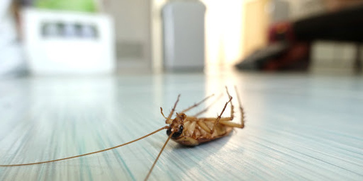 Why Regular Pest Control Is Important for Homes and Businesses