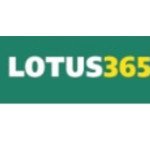 Lotus365 Betting Profile Picture