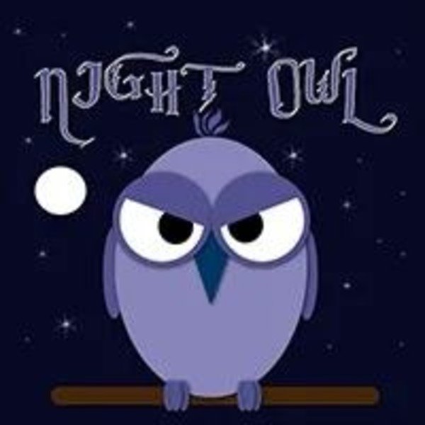 Night Owl EA v3.02 MT4 - AtomFX Store