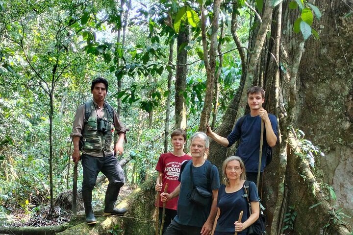 Why a Jungle Expedition Is the Ultimate Adventure for Nature Lovers - Queen of Article