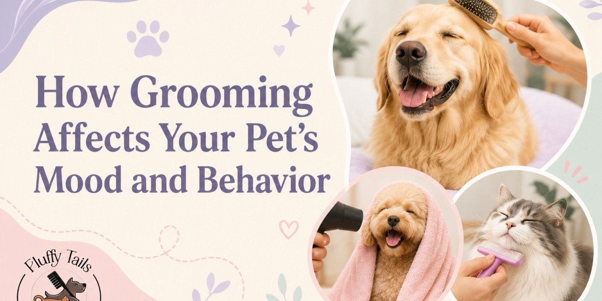 Affordable Pet Grooming in Qatar: Grooming Options for Every Budget