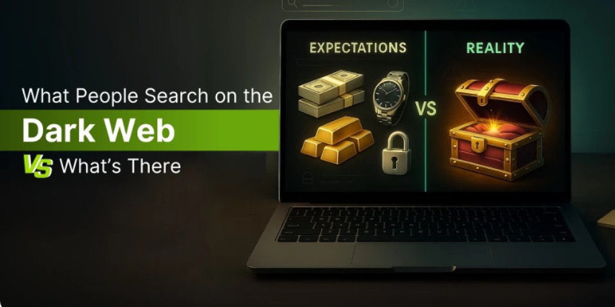 Haystak Search Engine Guide for Beginners: Features, Limits & Alternatives