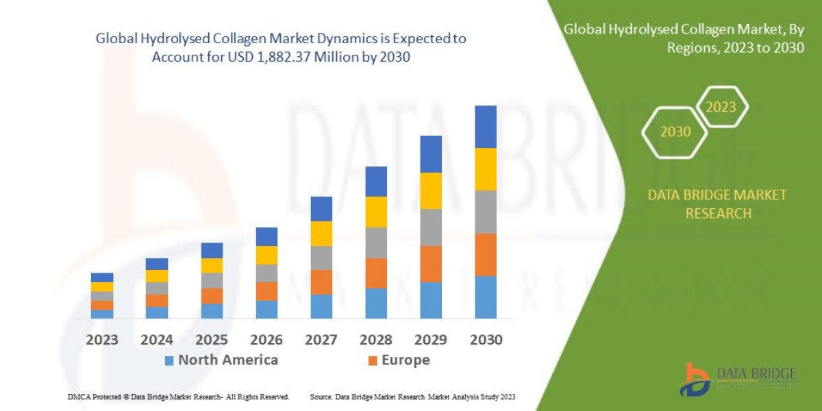 Global Hydrolysed Collagen Market: Demand, Innovation, Growth Opportunities, and Outlook