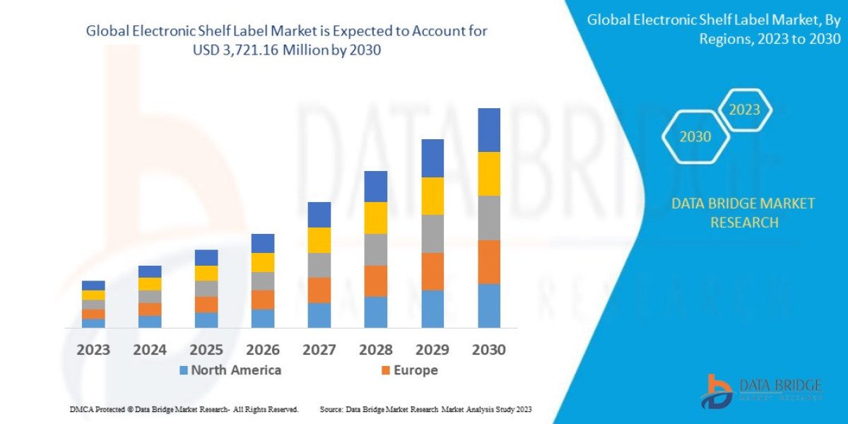 Global Electronic Shelf Label Market: Retail Technology Trends, Demand, Growth Opportunities, and Outlook