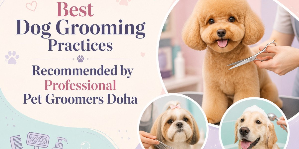 Cat Grooming Services Qatar: Why Regular Grooming Matters