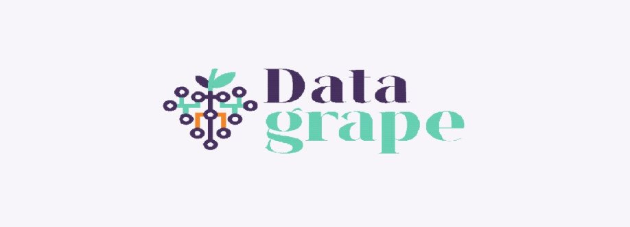 Data grape Cover Image