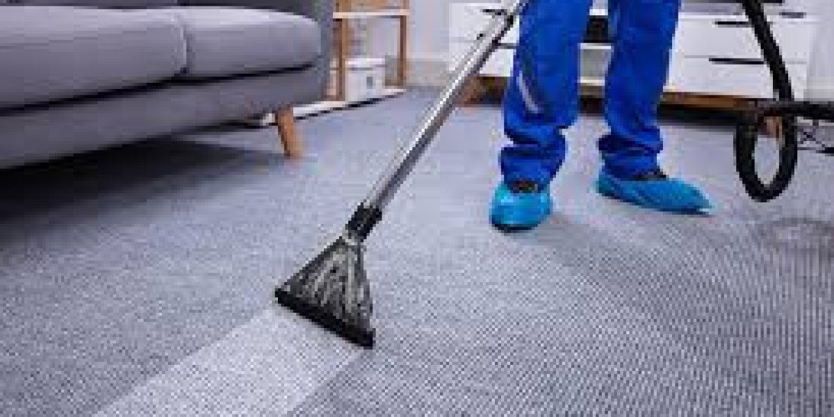 Carpet Cleaning Services Helping Maintain Flooring Across Large Room Layouts
