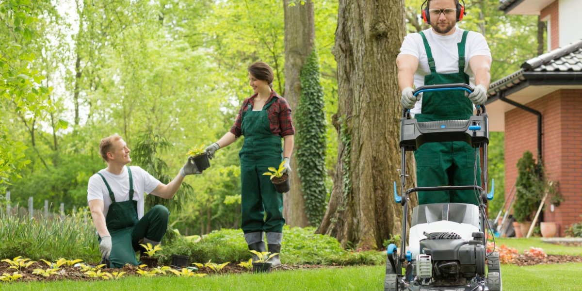 Simple Strategies for Maintaining Beautiful Island Landscapes Year-Round