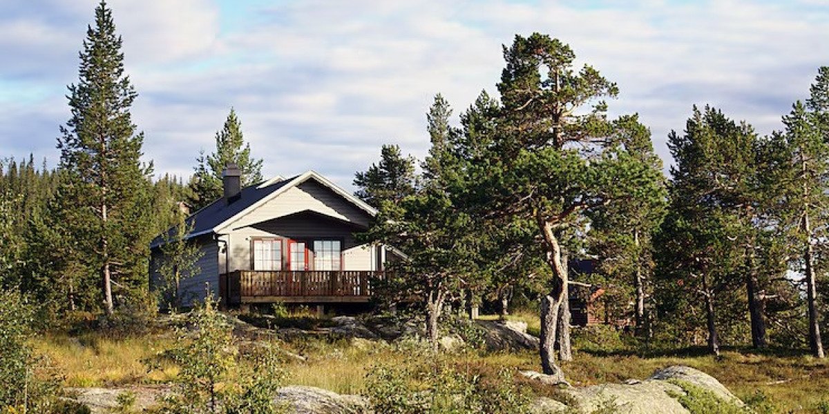 Article Picture