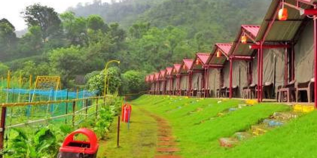 Camps in Shivpuri Rishikesh A Perfect Nature and Adventure Getaway